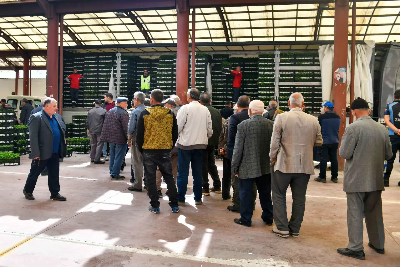 Ankara Büyükşehir Belediyesi'nden 25 İlçede 8 Milyon Sebze Fidesi Desteği